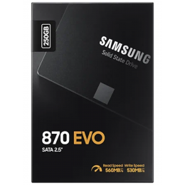 Жесткий диск SSD Samsung 870 EVO 250GB (MZ-77E250BW)